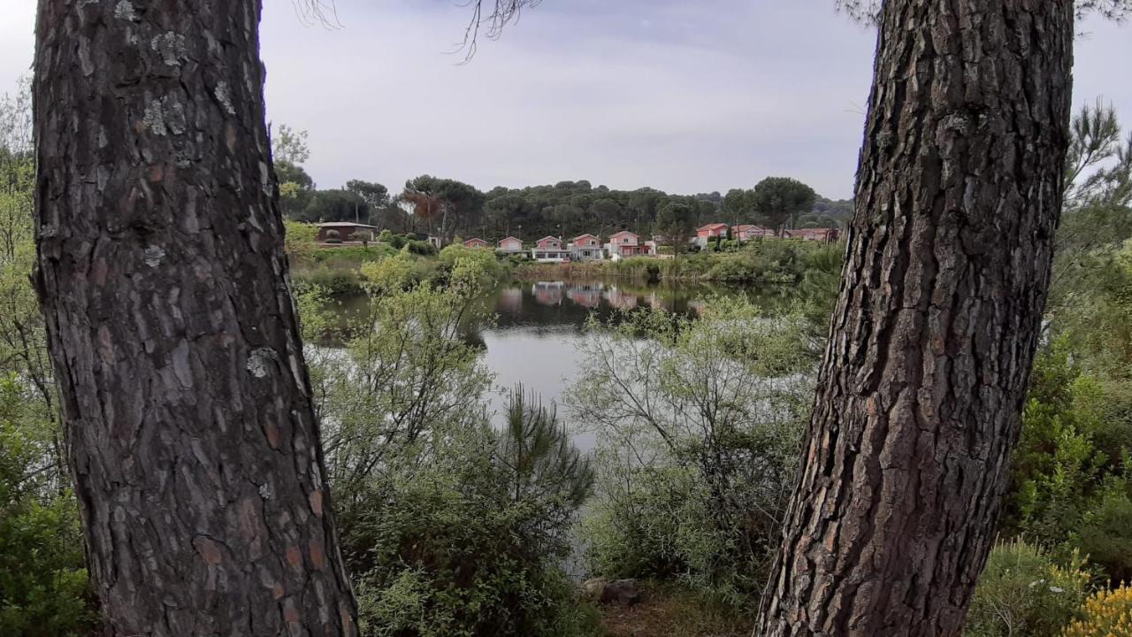 Willa El Pinar Del Coto Kordoba Zewnętrze zdjęcie